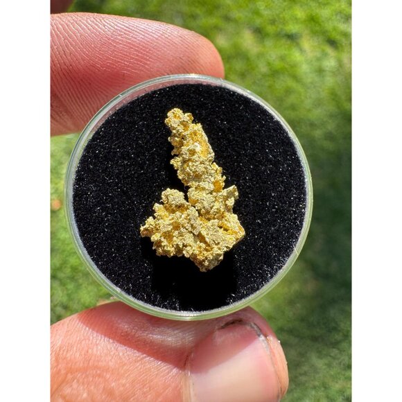 California Native Gold Crystal - 1.54 grams - Picture 2 of 7